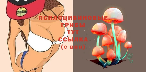 соль ск Балахна