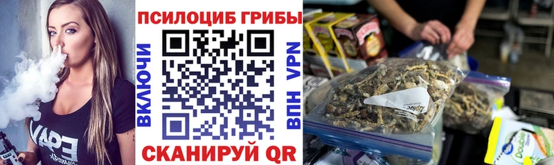 купить наркоту  Гвардейск  Псилоцибиновые грибы Cubensis 